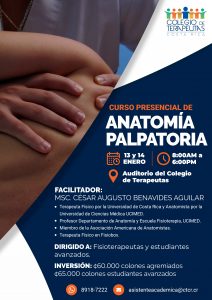 Anatomía Palpatoria