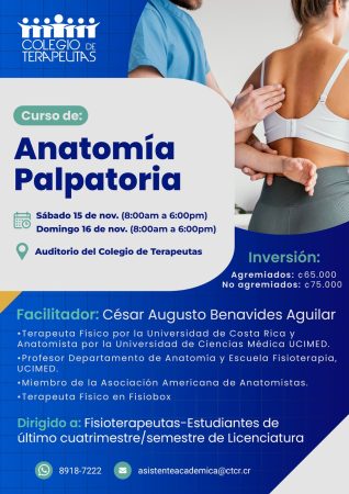 Anatomía Palpatoria grupo 4