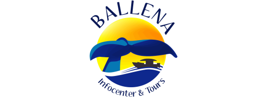 Logo Ballena Infocenter pagina