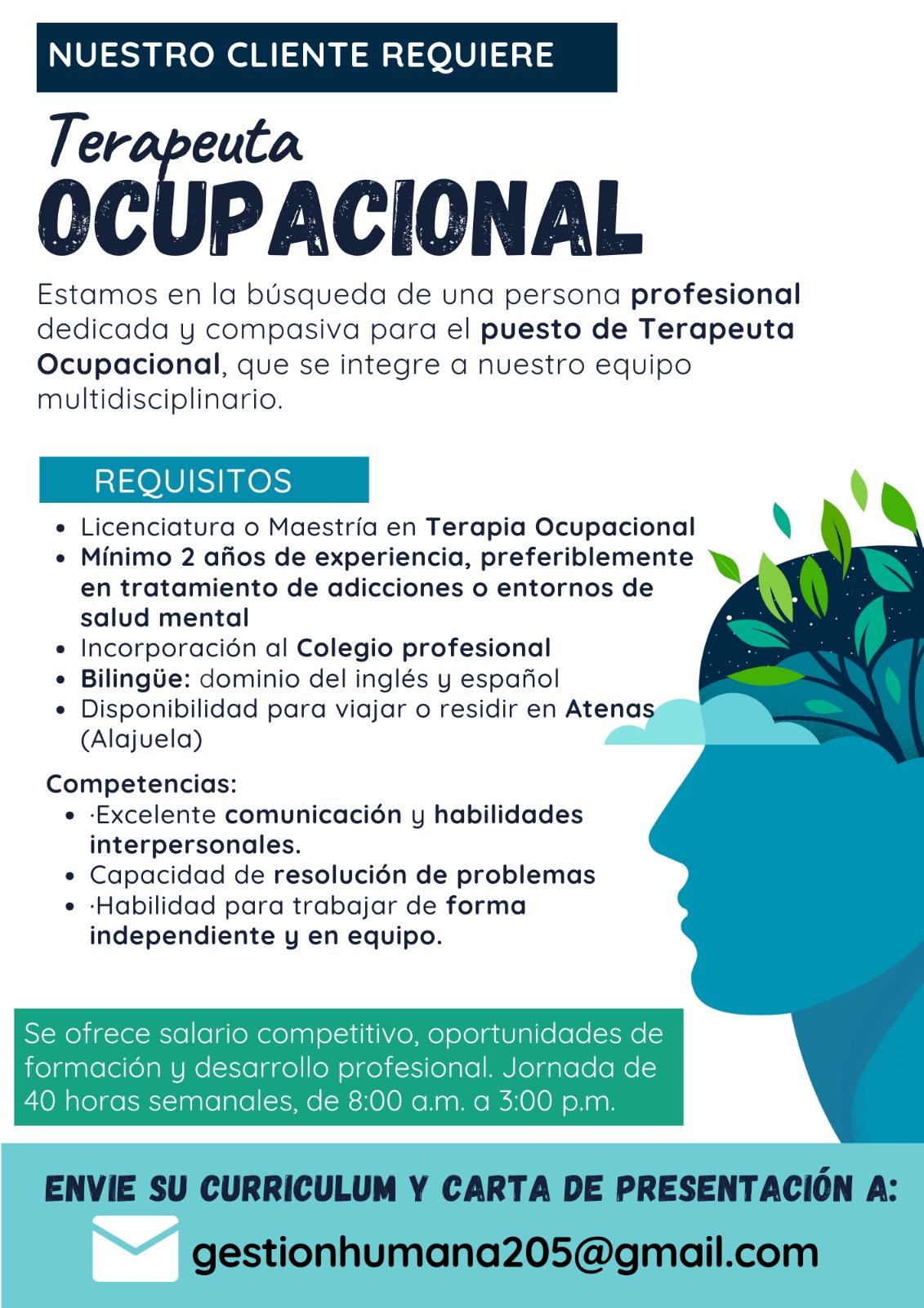 Anuncio-Terapeuta-Ocupacional